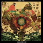 Fleet Foxes Take Album of the Year with